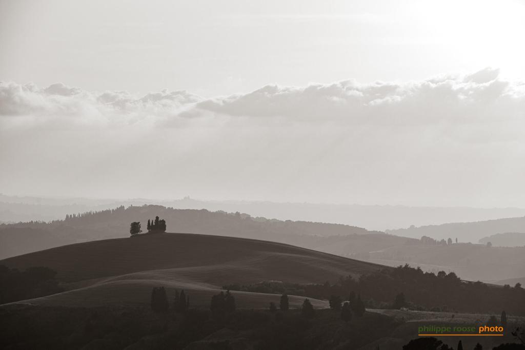 Black and white landscape of rolling hills with distant trees and cloudy sky.